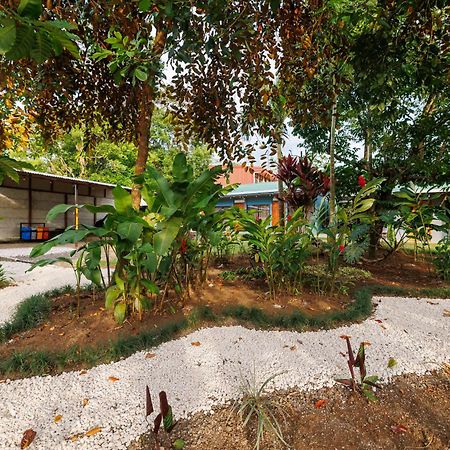 Rio Celeste Dreams Bijagua Eksteriør billede