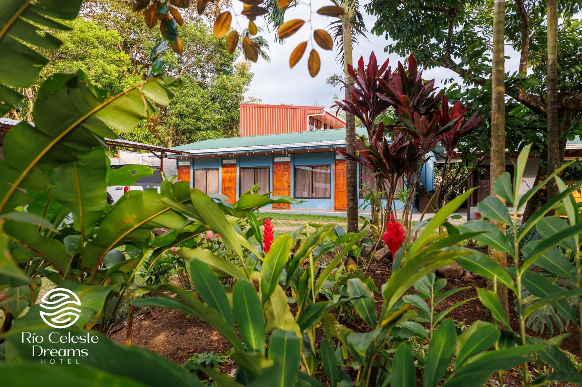 Rio Celeste Dreams Bijagua Eksteriør billede
